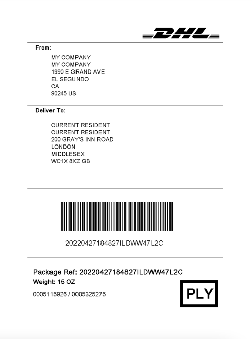 DHLeCommerce-Intl_ExampleLabel.png