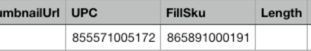 Zoomed-in view of FillSku column in product upload CSV file.