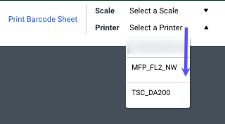 Scan tab with Print menu open and a list of available printers showing