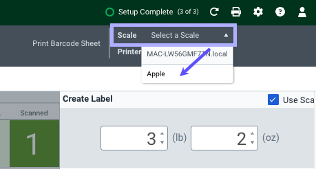 Scan page open with the Select a Scale menu open and a scale selected