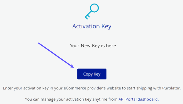 Request Activation Key. Shows the Copy-Key button.