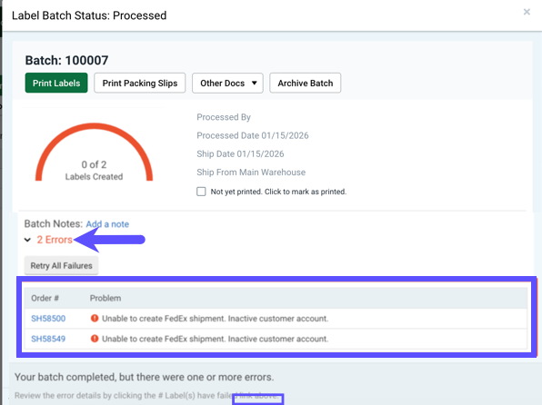Batch Result screen with error section expanded and highlighted.
