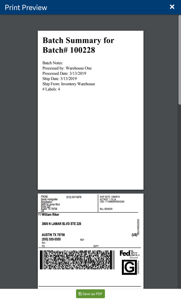 Print Preview pop-up window with Batch Summary document before first label in batch.